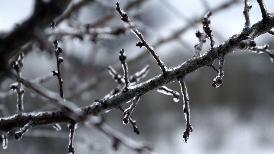 В Воронежской области ожидается ледяной и замерзающий дождь