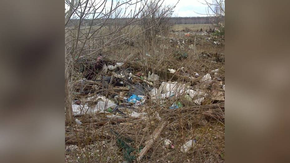 Незаконную свалку площадью более 1 га ликвидировали в Воронежской области