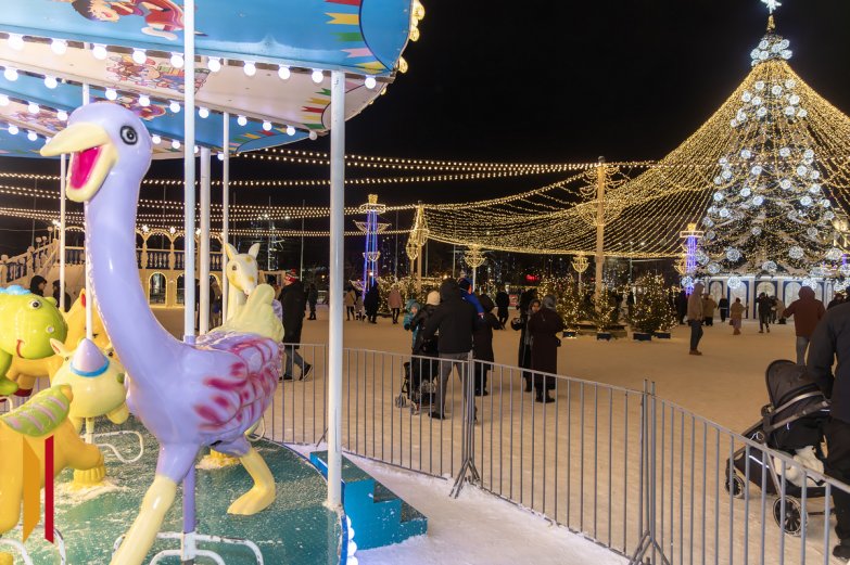 Новый 2026 год в Воронеже