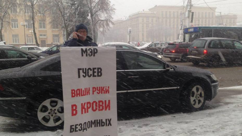 Воронежский зоозащитник провел одиночный пикет у мэрии