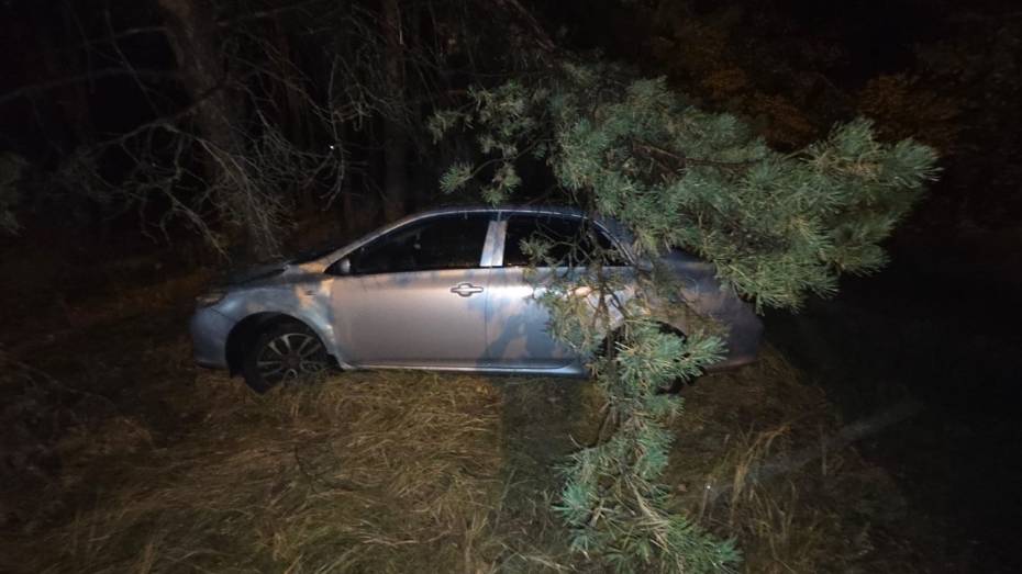 В Воронеже столкнулись «Лада» и Toyota: пострадали двое