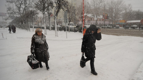 Спасатели предупредили о метели и снежных заносах в Воронежской области