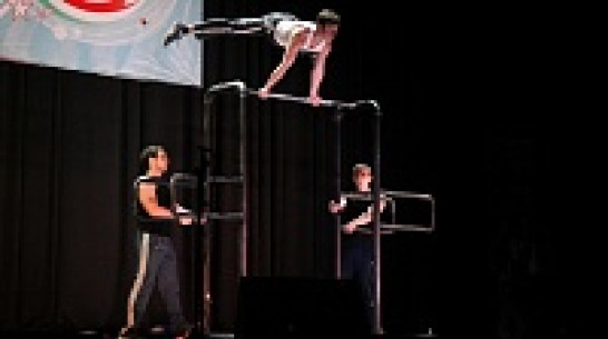 Гран-при воронежской «Студенческой весны 2014» взяли студенты ВГУ