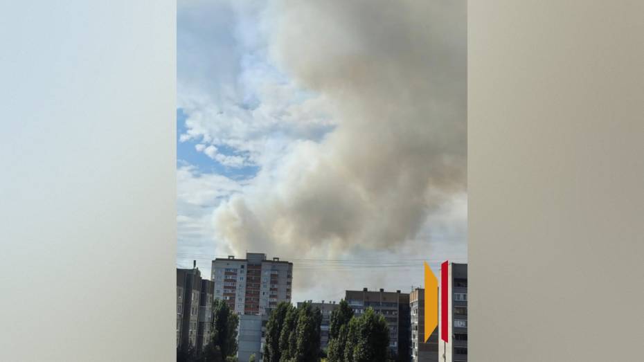 Воронежцы днем 2 сентября сообщили о столбе черного дыма в СНТ «Железнодорожник»
