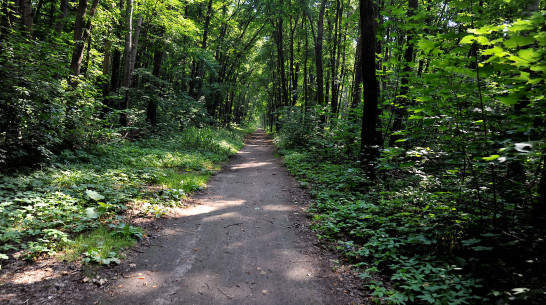 Останки подозреваемого в братоубийстве нашли в воронежском микрорайоне Сомово
