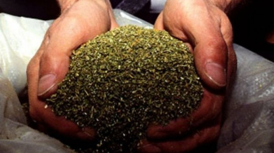 В Новоусманском районе полицейские задержали мужчину с 1,5 килограммами семян мака и маковой соломки