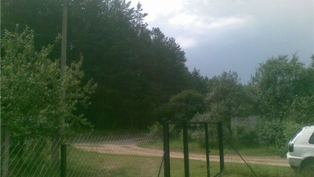 В Воронежской области у людей забрали участки, которые были незаконно захвачены на землях лесного фонда