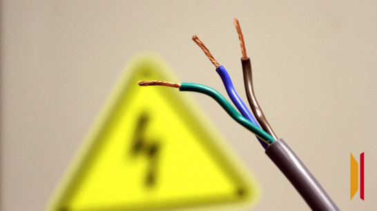 В Воронежской области в 19 районах из-за сильного ветра и снегопада пропал свет