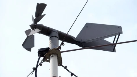 Сильный ветер с порывами до 15 м/сек придет в Воронежскую область 1 апреля