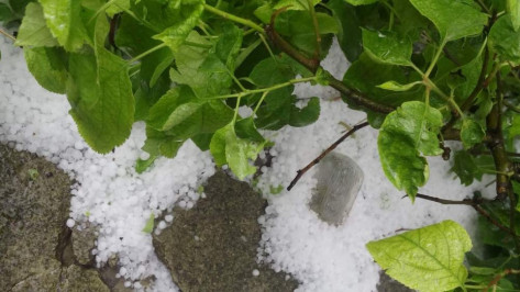 Спасатели предупредили о грозах и граде в Воронежской области 24 июня