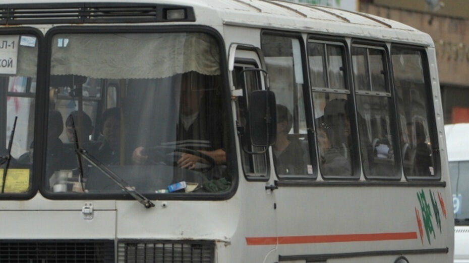 В Воронеже изменились маршруты автобусов №113кт и 113кш