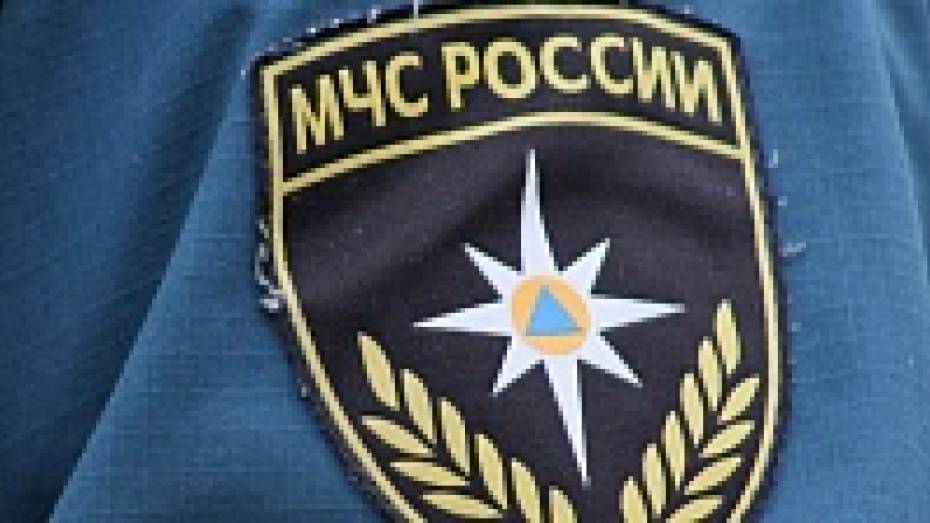 МЧС: сотрудник Госпожнадзора, пойманный в Воронеже при получении взятки, уволен