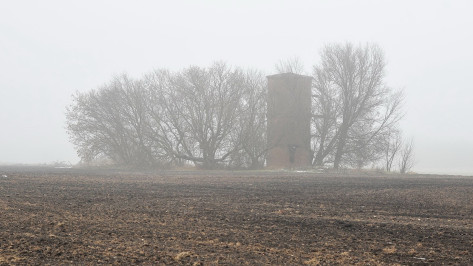 Туман стал причиной желтого уровня погодной опасности в Воронежской области