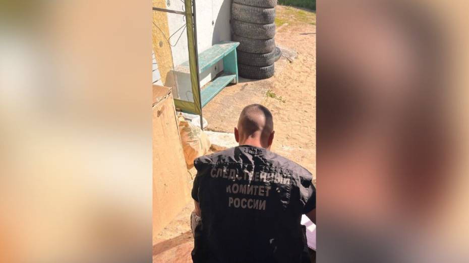 СК возбудил дело после детонации боеприпаса в хуторе Калач Воронежской области