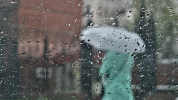 Прохладная и дождливая погода ожидает воронежцев на рабочей неделе