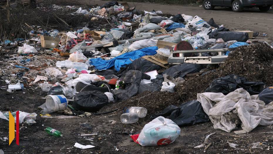 В Воронежской области обнаружили еще одну незаконную свалку размером 3 га