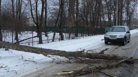 В Рамони ураган оставил без электричества часть микрорайона «Поле чудес»