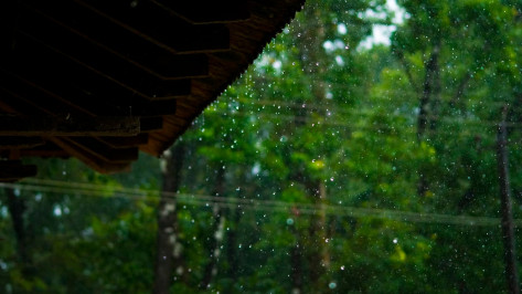 Жару и дожди прогнозируют синоптики в Воронеже на новой рабочей неделе