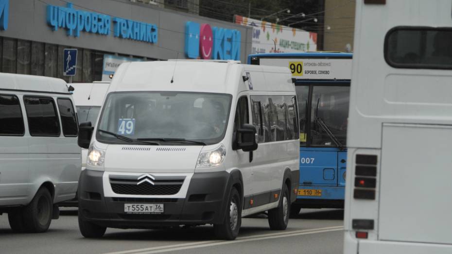 Воронежские власти оставили 49-й маршрут нетронутым