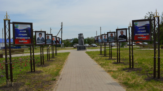 В Воробьевке появилась Аллея почета