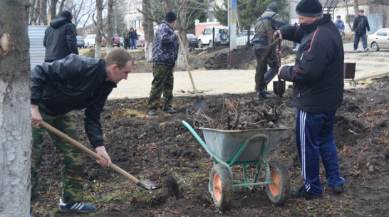 В Нижнедевицком районе прошел общерайонный субботник