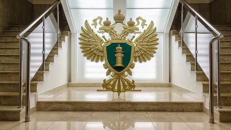  В Воронежской области количество преступлений сократилось на 14%