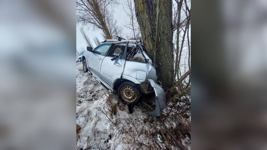 В Воронежской области Mitsubishi съехал с дороги и врезался в дерево: пострадал 53-летний водитель