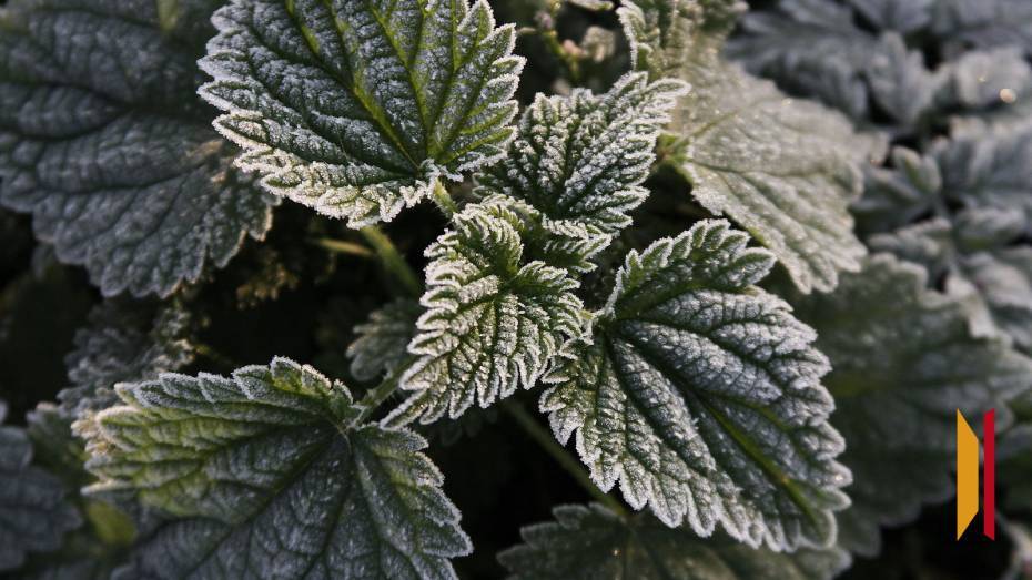 Воронежцев ждут холодные и сухие выходные