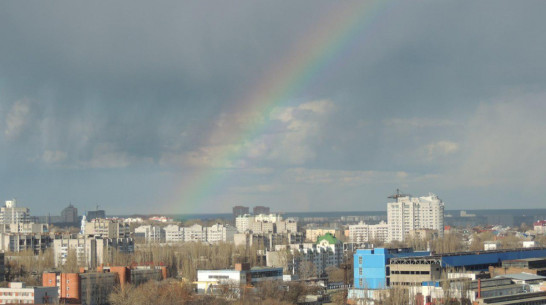 Сделки с городской землей принесут в бюджет Воронежа 1,62 млрд рублей 