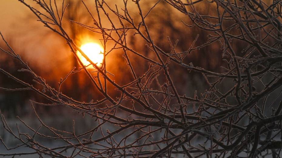 Оранжевый уровень погодной опасности ввели в Воронежской области из-за аномальных холодов