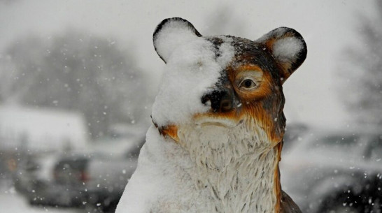 В Грибановском районе впервые пройдет конкурс снежных скульптур