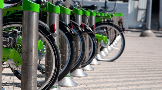 В Воронеже пройдет фестиваль кино о велосипедах и их владельцах