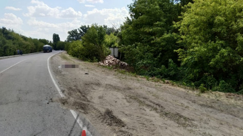 В Воронежской области водитель на ходу выпрыгнул из кабины грузовика и погиб
