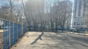 В воронежском парке имени Дурова отремонтируют спортивную площадку
