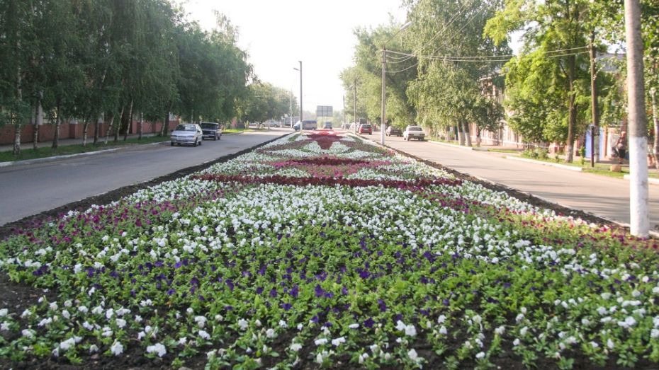 В Острогожске к 70-летию Победы высадят 95 тыс цветов
