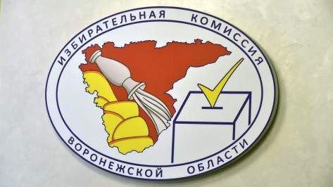 В Воронежской области завершилось голосование на выборах