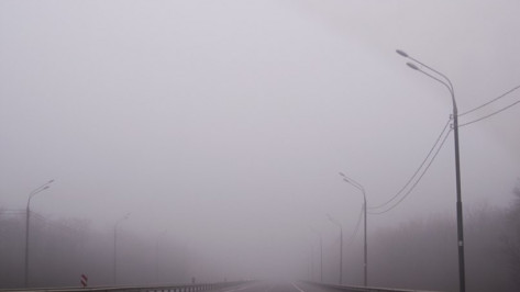Гидрометцентр России предупредил жителей Воронежской области о тумане