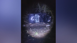 В Воронежской области «Лада Приора» съехала с дороги и опрокинулась: погибла женщина