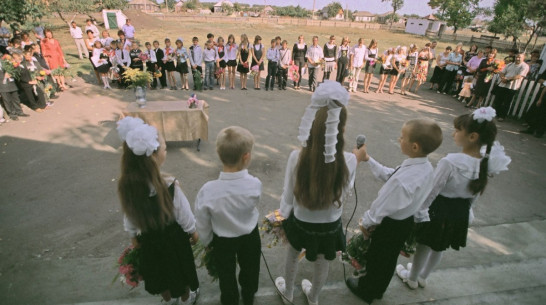 Прокуратура заинтересовалась незаконными поборами в школах Павловска