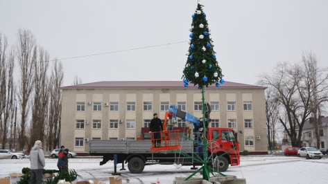 На главной площади Поворино в этом году впервые установят искусственную елку