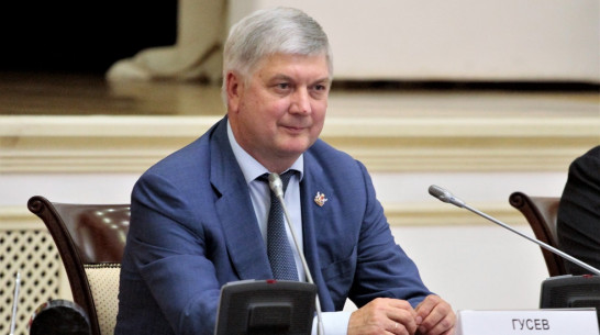 Губернатор Александр Гусев возглавил Попечительский совет воронежского отделения РВИО