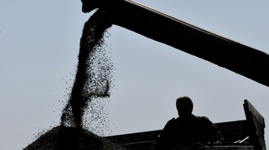 Производители сельхозтехники из России и зарубежья откроют в Воронеже «Агросезон – 2015»