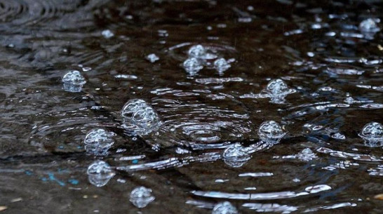 Дожди в Воронеже продолжатся на выходных