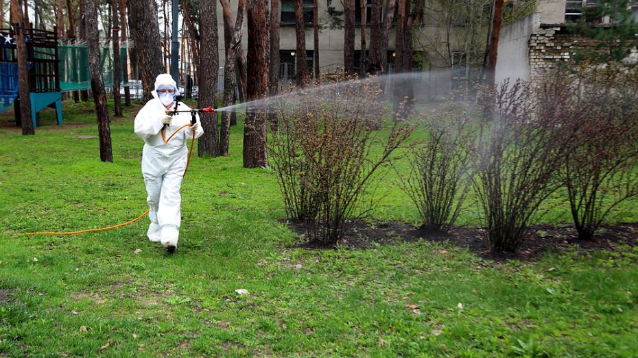 Обработку парков и водоемов от клещей и комаров начали в 14 районах Воронежской области