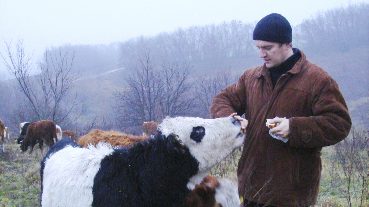 Животновод из Землянска 10 лет производит говядину благодаря госпрограмме