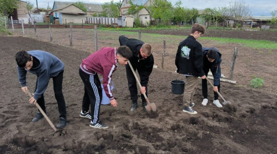 Верхнемамонские школьники помогли ветерану СВО посадить картофель