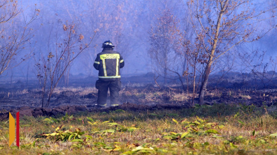 В Воронежской области отменили особый противопожарный режим