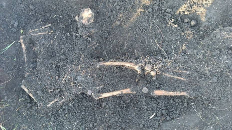 При строительстве дома у Воронежского водохранилища нашли человеческий череп