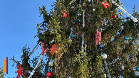 В Таловой жителей попросили подарить райцентру новогоднюю ель