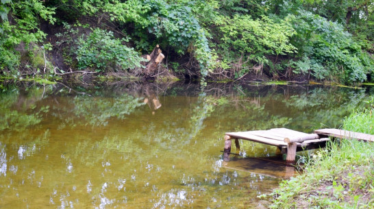 Рыбак утонул в пруду в Грибановском районе